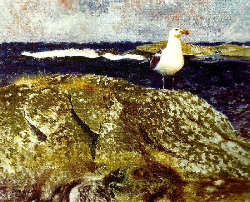 bruno liljefors havstrut vid boet oil painting picture